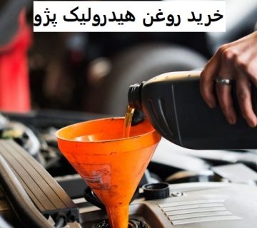 Purchase hydraulic oil for Peugeot