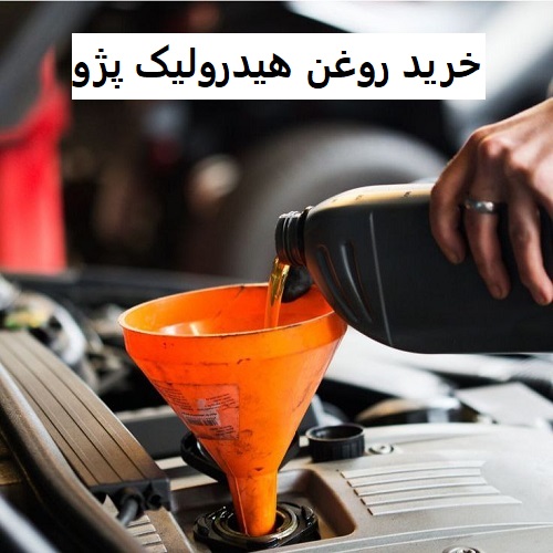 Purchase hydraulic oil for Peugeot